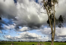 开云体育app-王权没有黄昏，当连续得分成为权杖，存在感是最锋利的剑