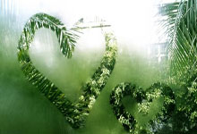 开云体育官网-跨界主宰，从黄蜂的强势到爱德华兹的接管—竞技场上的唯一性法则