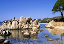 开云体育官方网站-黄喜灿一锤定音，切尔西生死战力克荷兰，书写亚洲球员新篇章